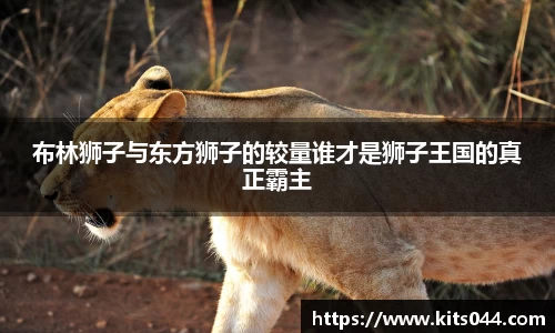 布林狮子与东方狮子的较量谁才是狮子王国的真正霸主